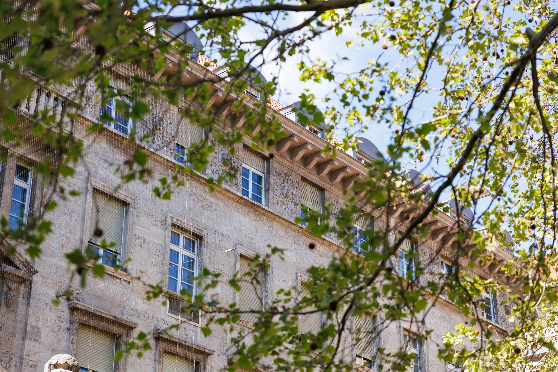 Detail einer Altbaufassade mit Stuckornamenten, gerahmt von hellgrünen Zweigen.