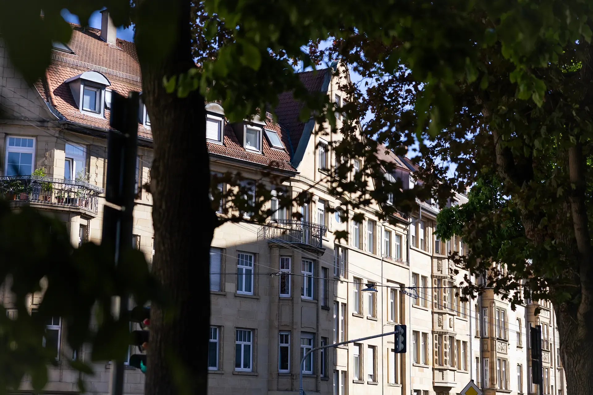 Reihe von Altbauten mit Sandsteinfassaden, im Vordergrund Laub eines Straßenbaums.